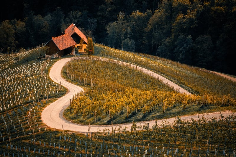 Vast Landscape